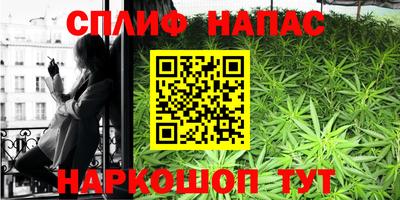 стафф Новозыбков