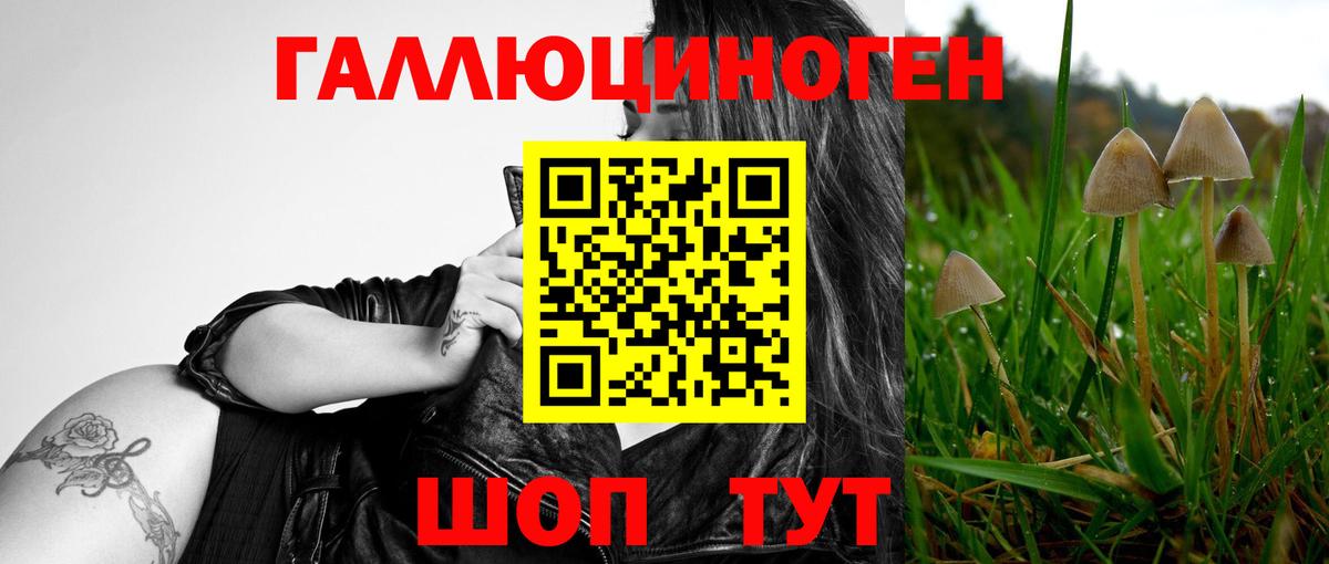 Псилоцибиновые грибы мухоморы Севастополь